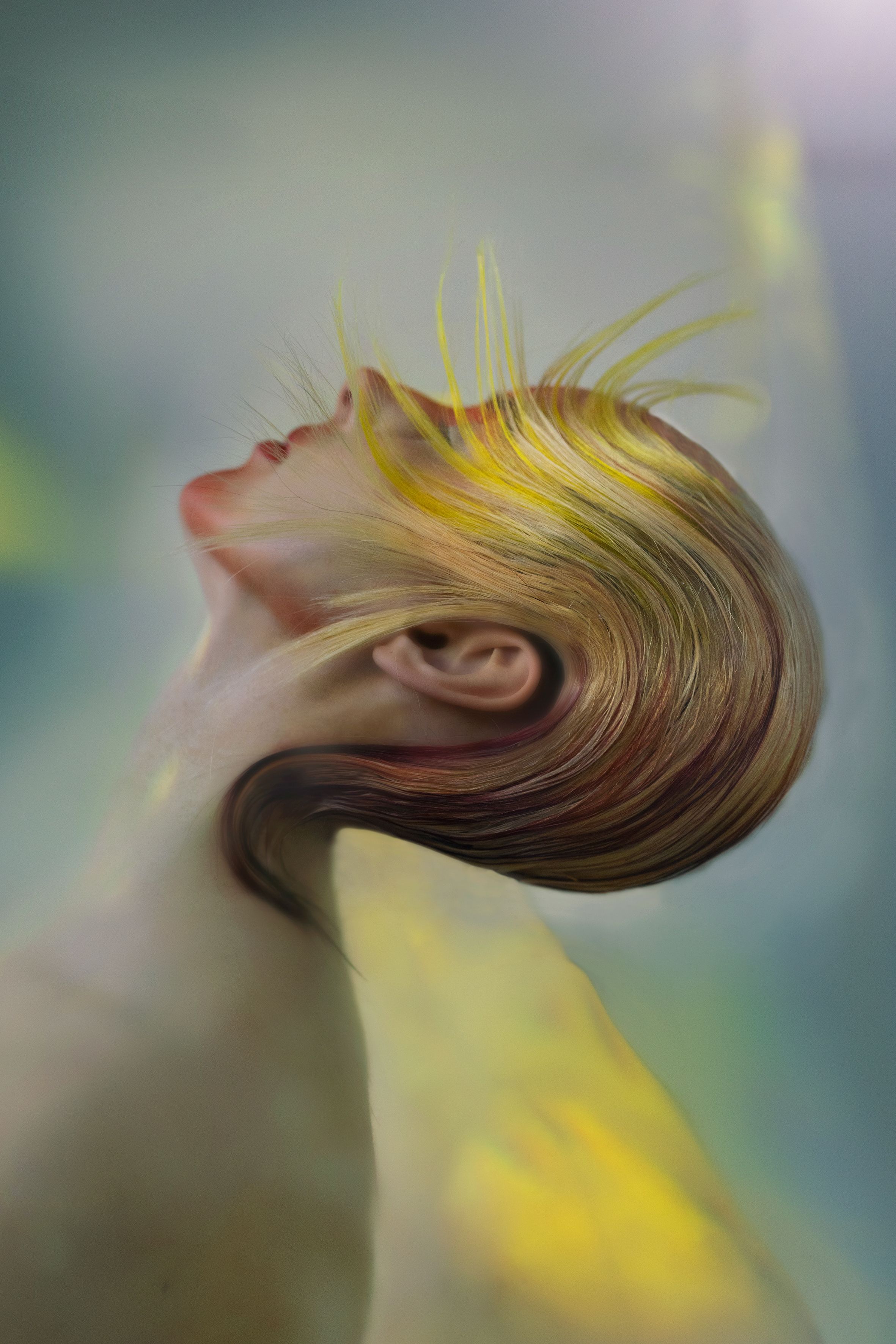 Finalist image
