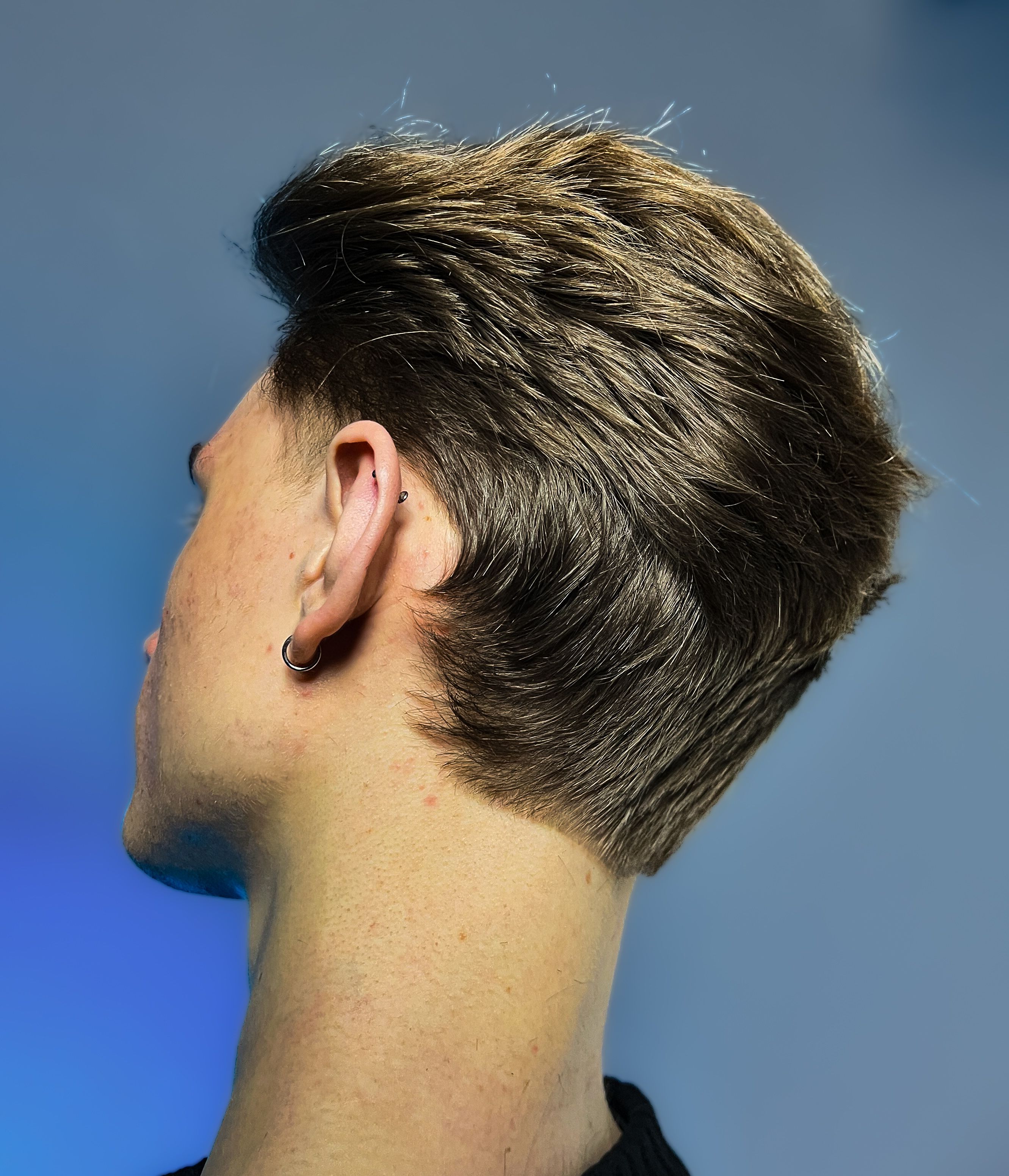 Finalist image