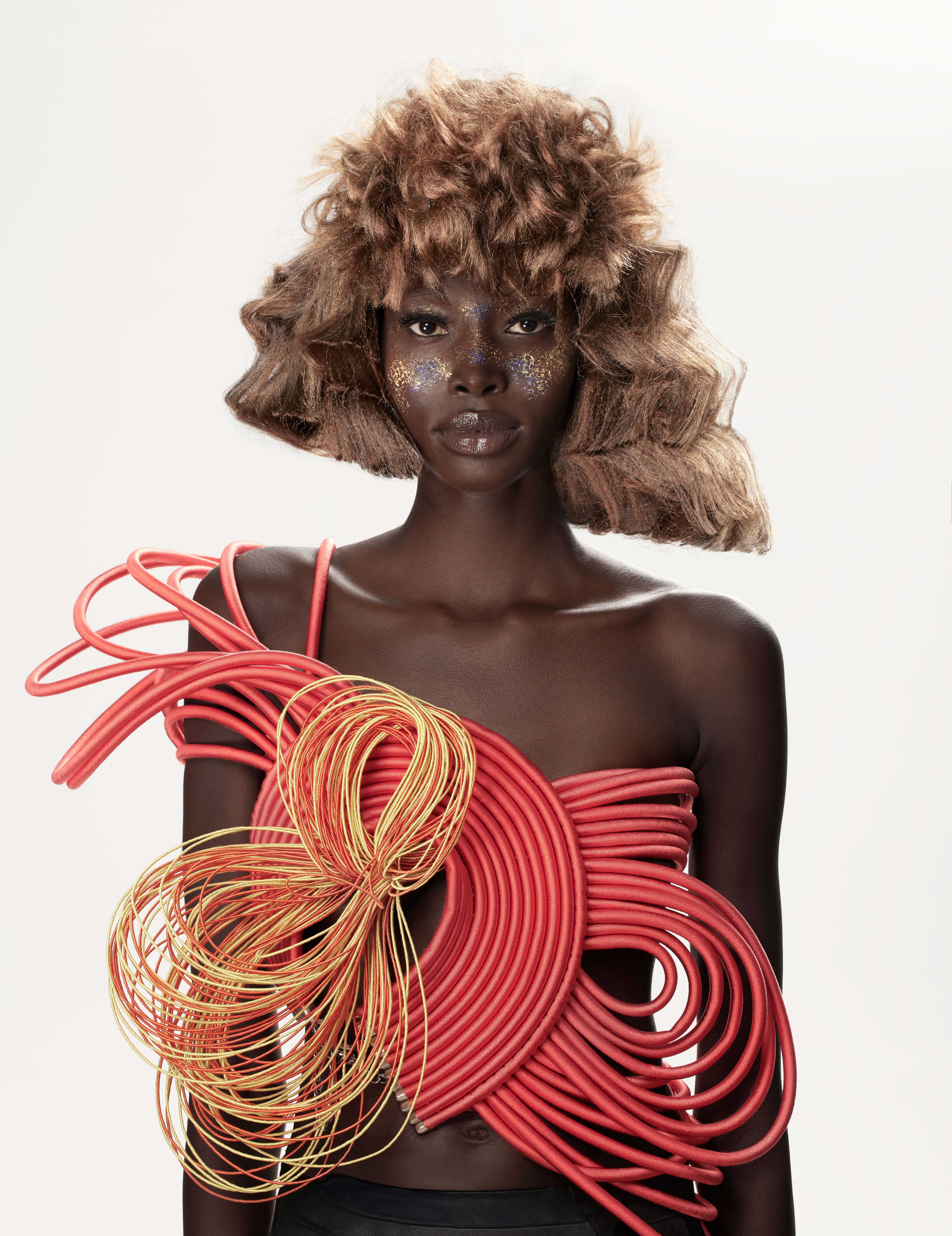 Finalist image