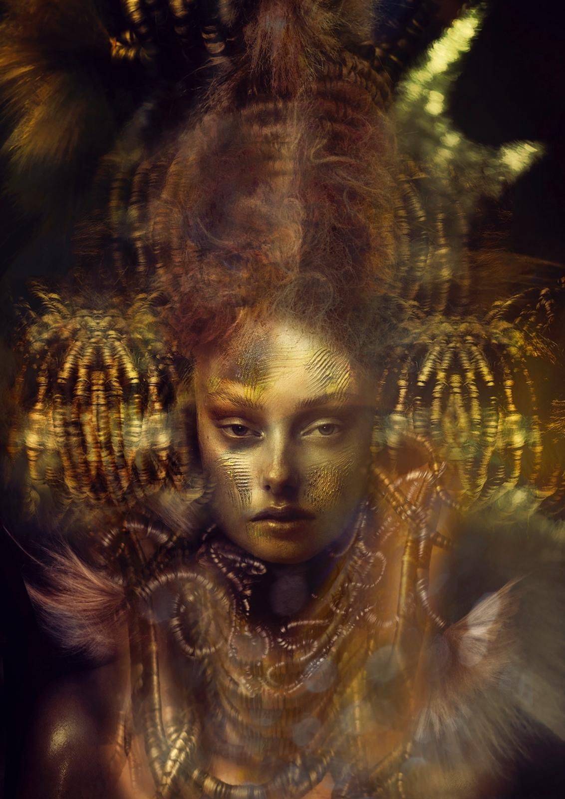 Finalist image