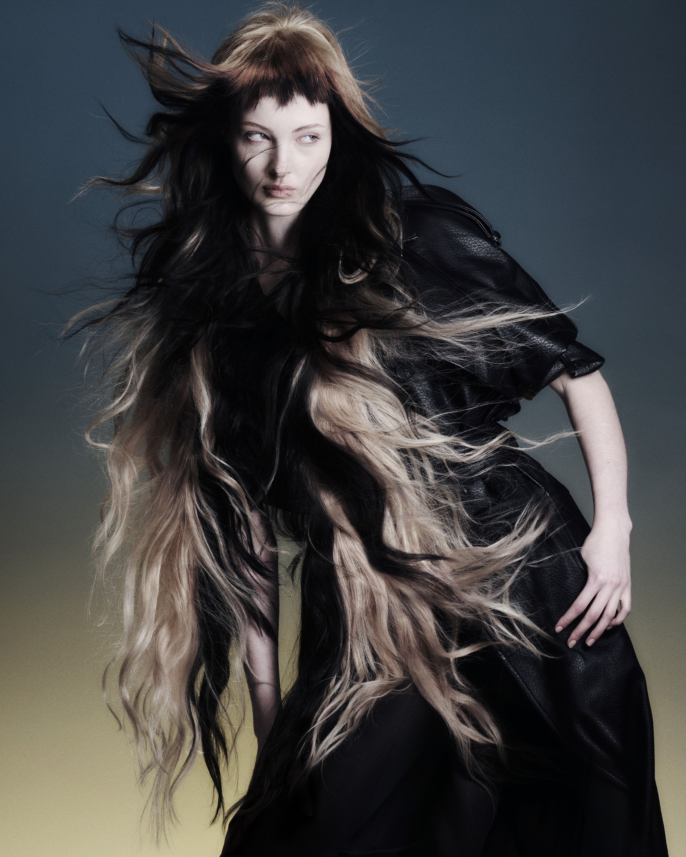 Finalist image