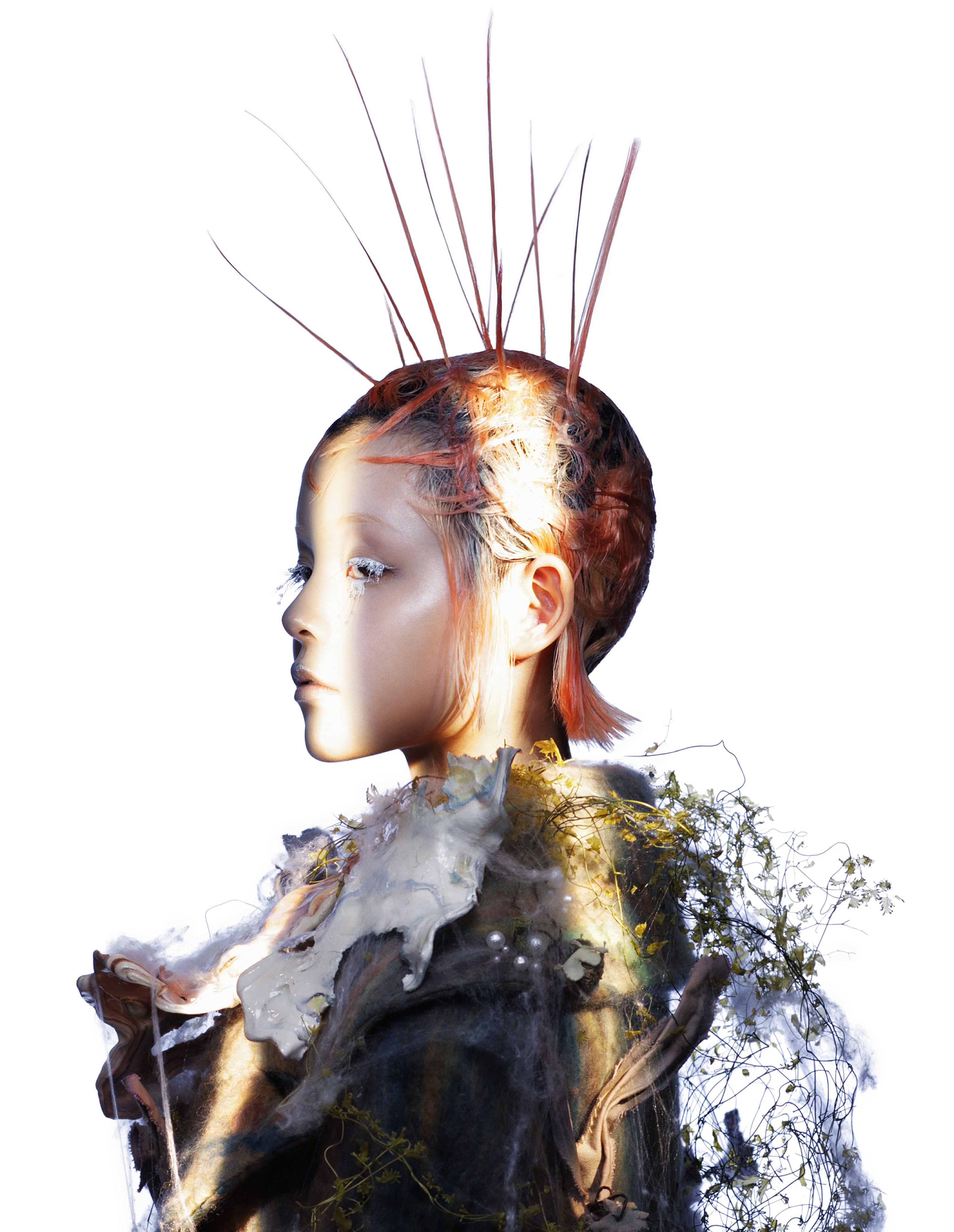 Finalist image