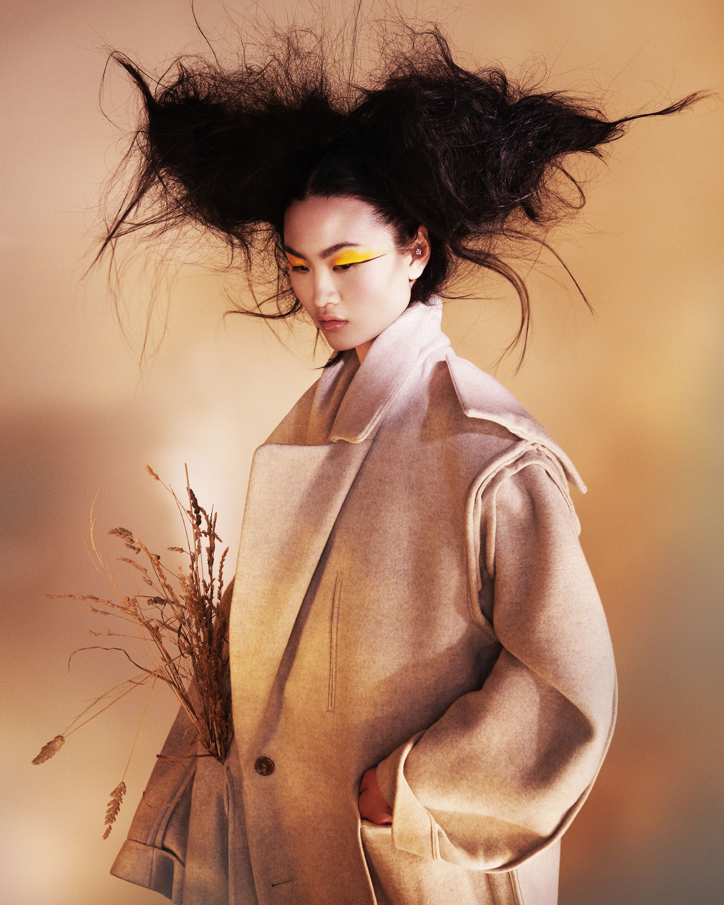 Finalist image