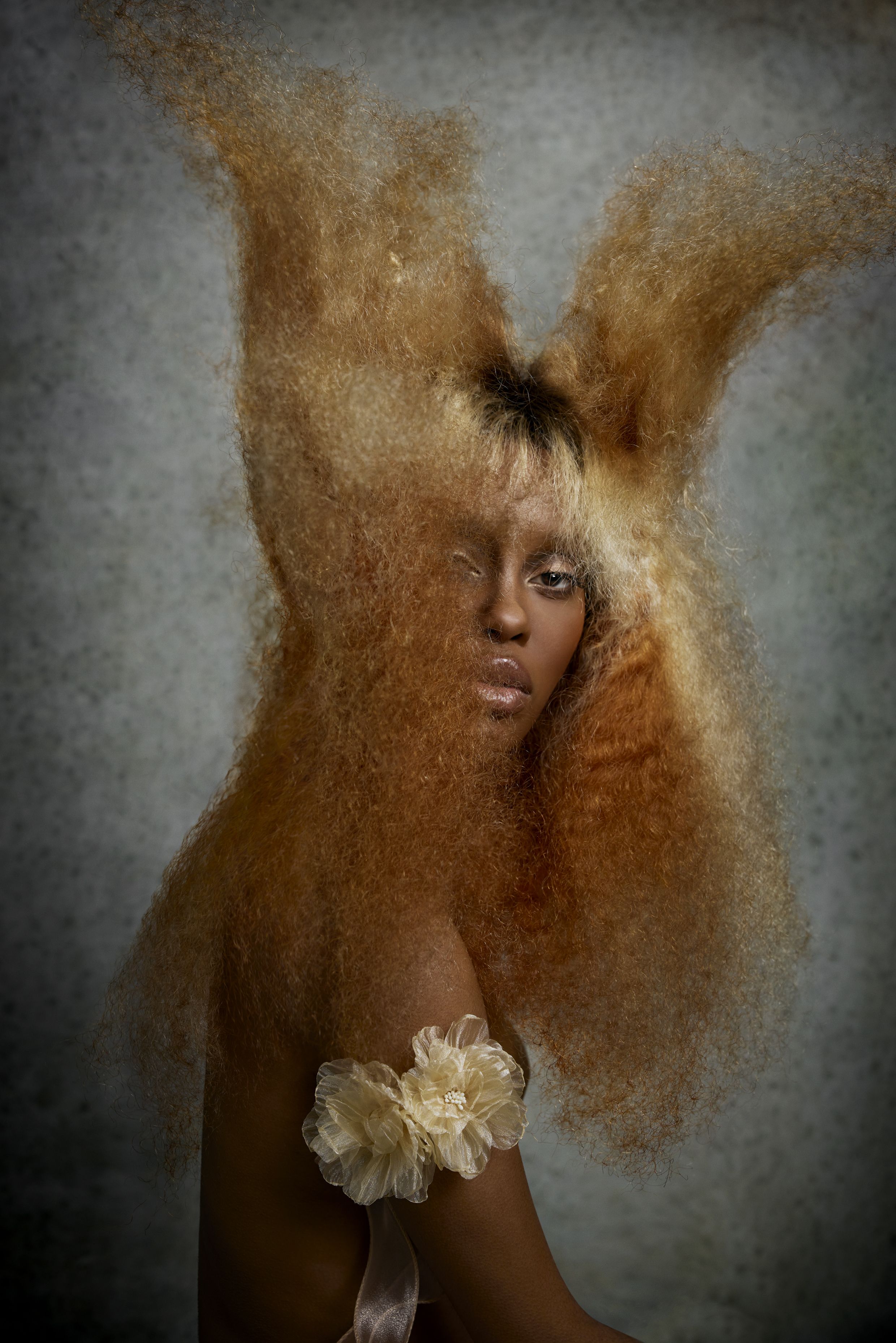 Finalist image