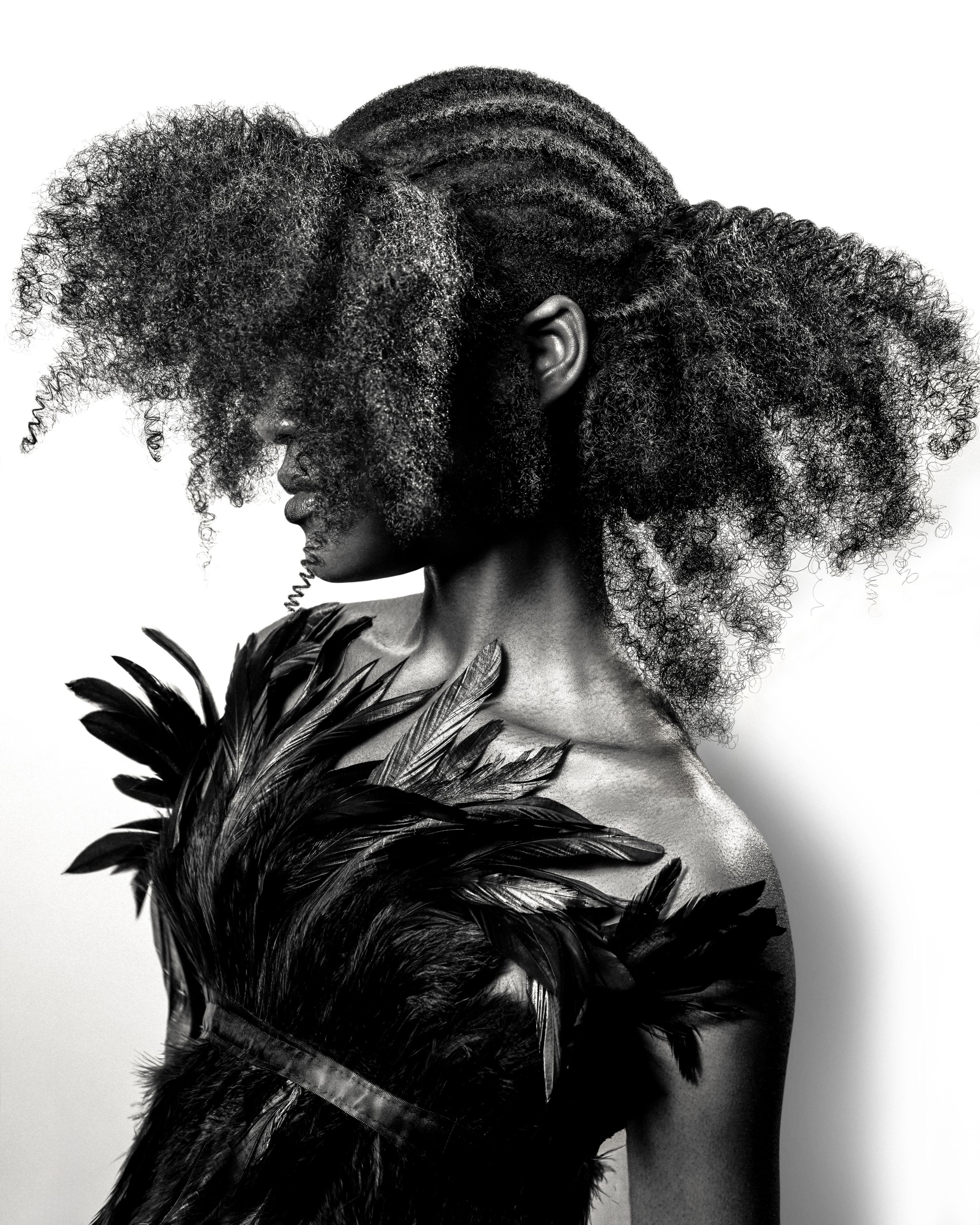Finalist image