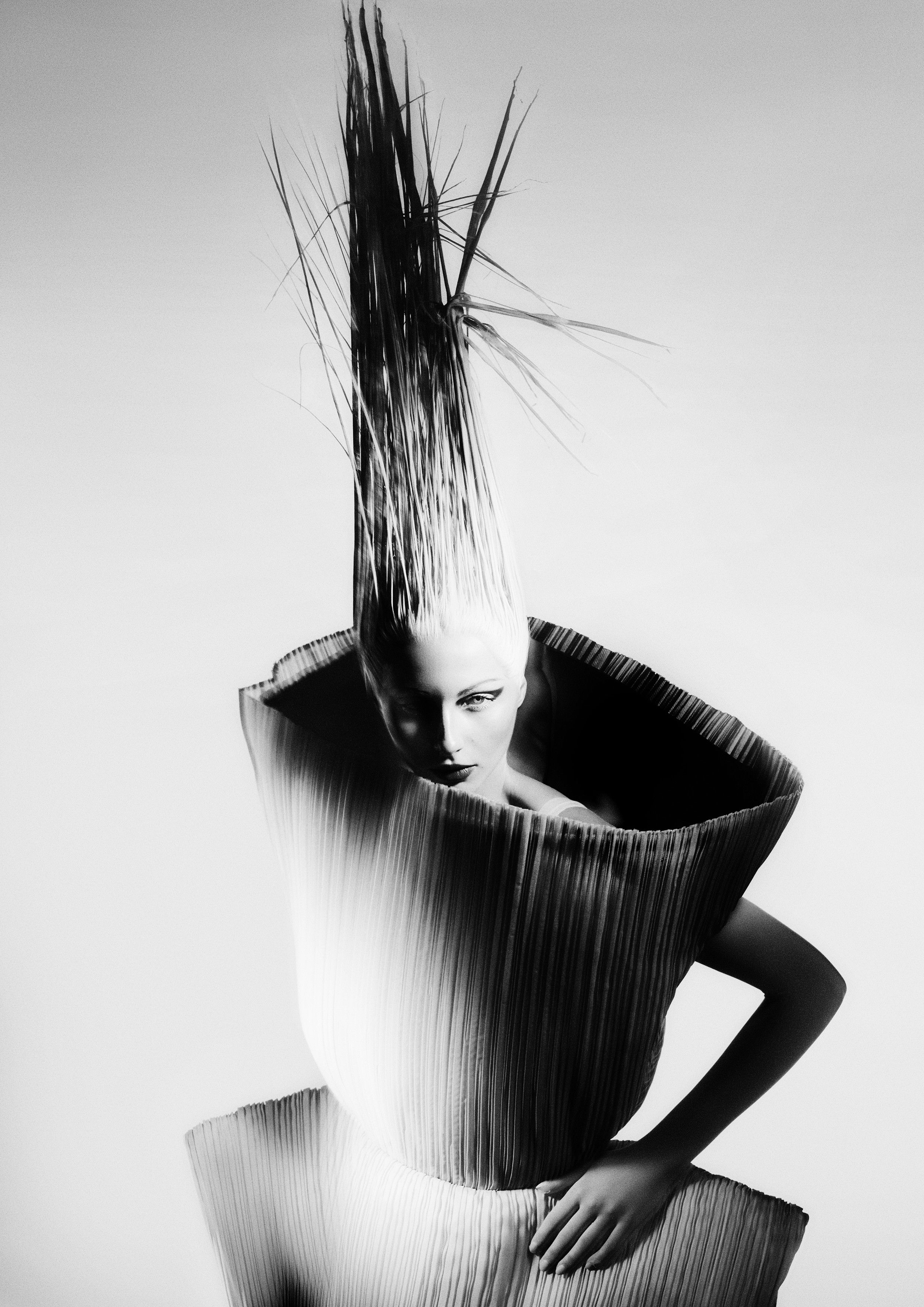Finalist image
