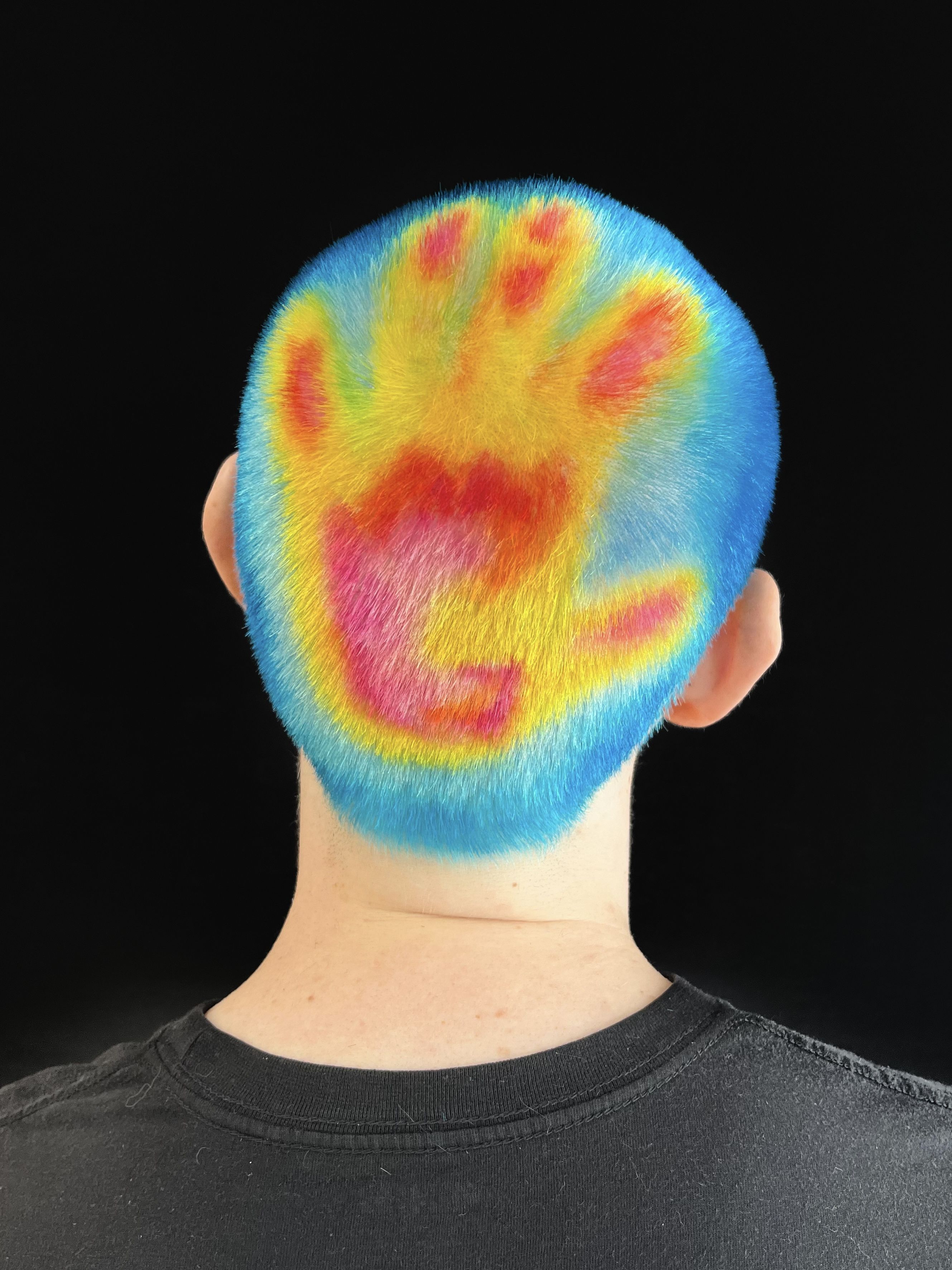 Finalist image