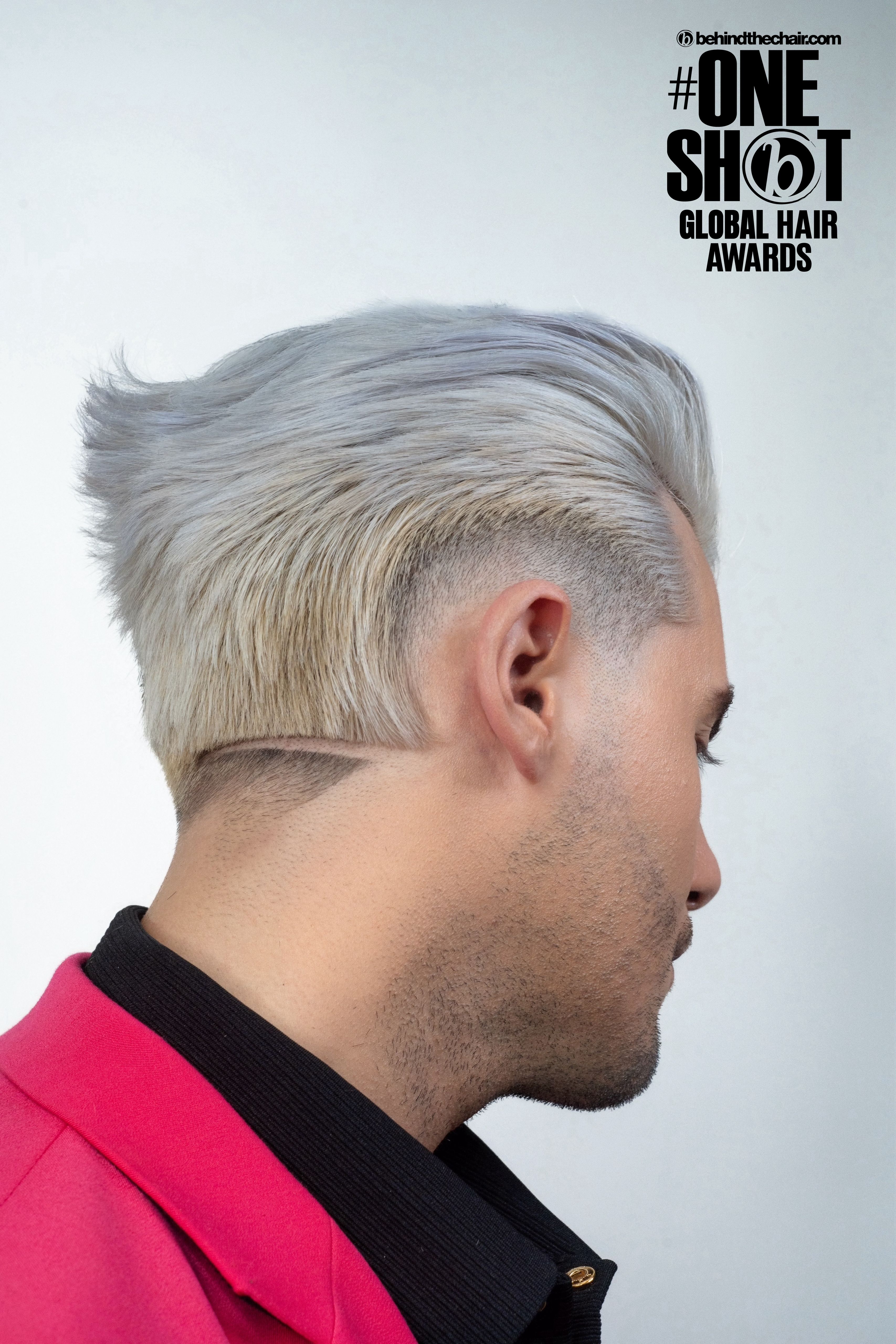 Finalist image