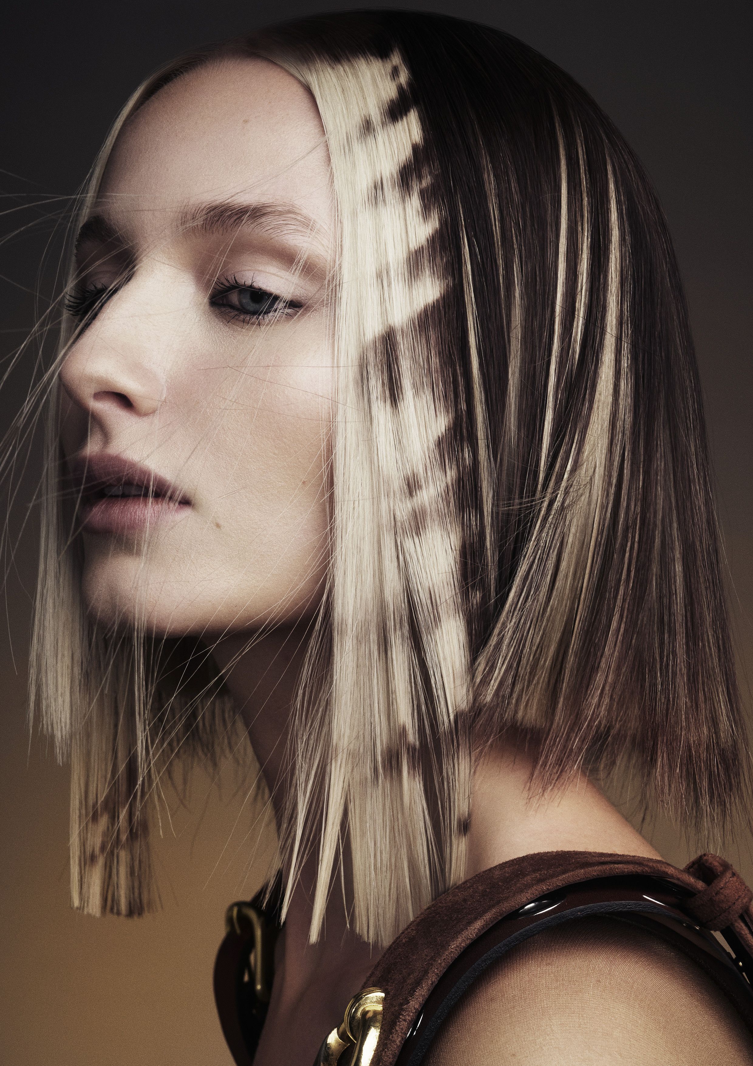 Finalist image