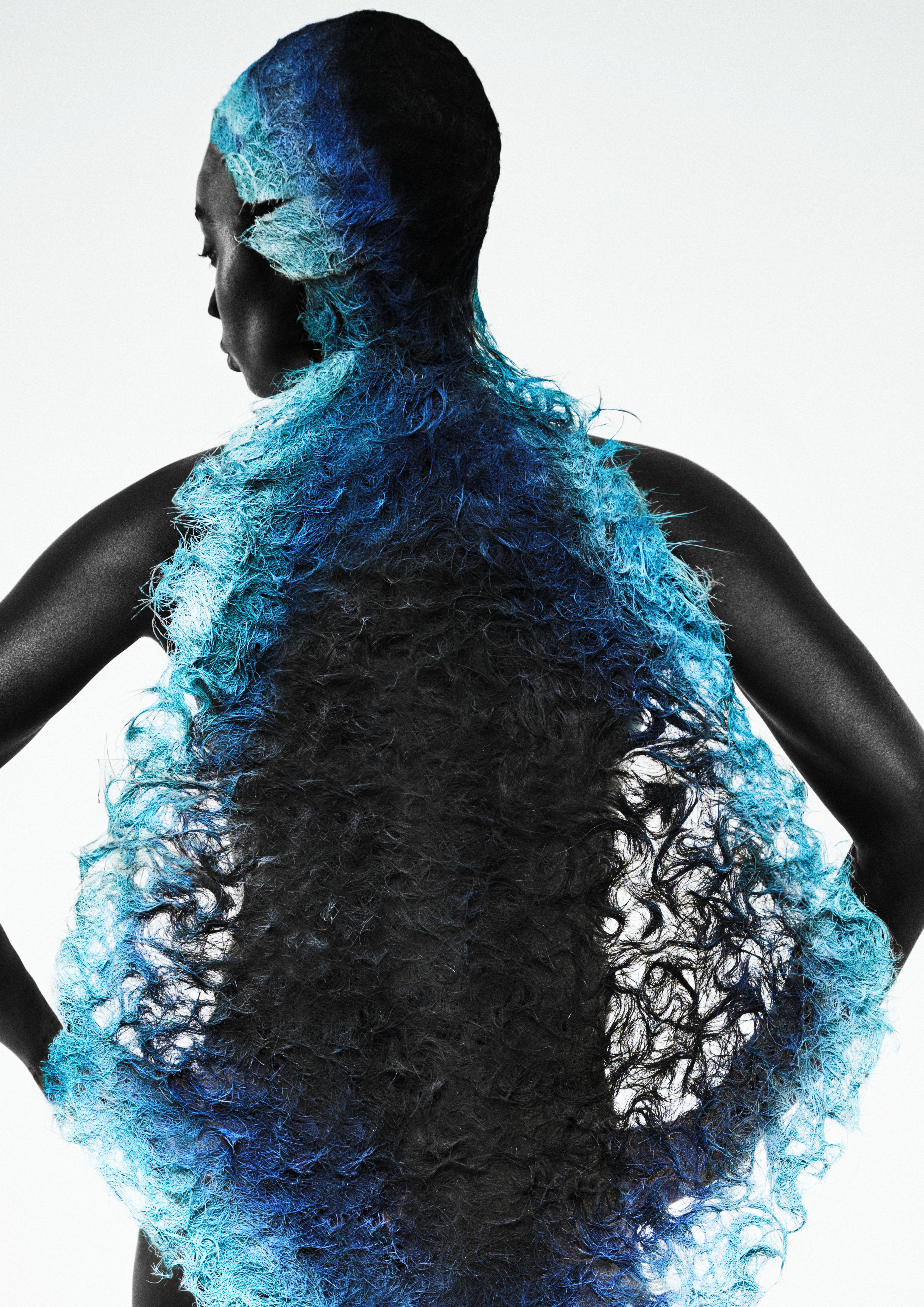 Finalist image