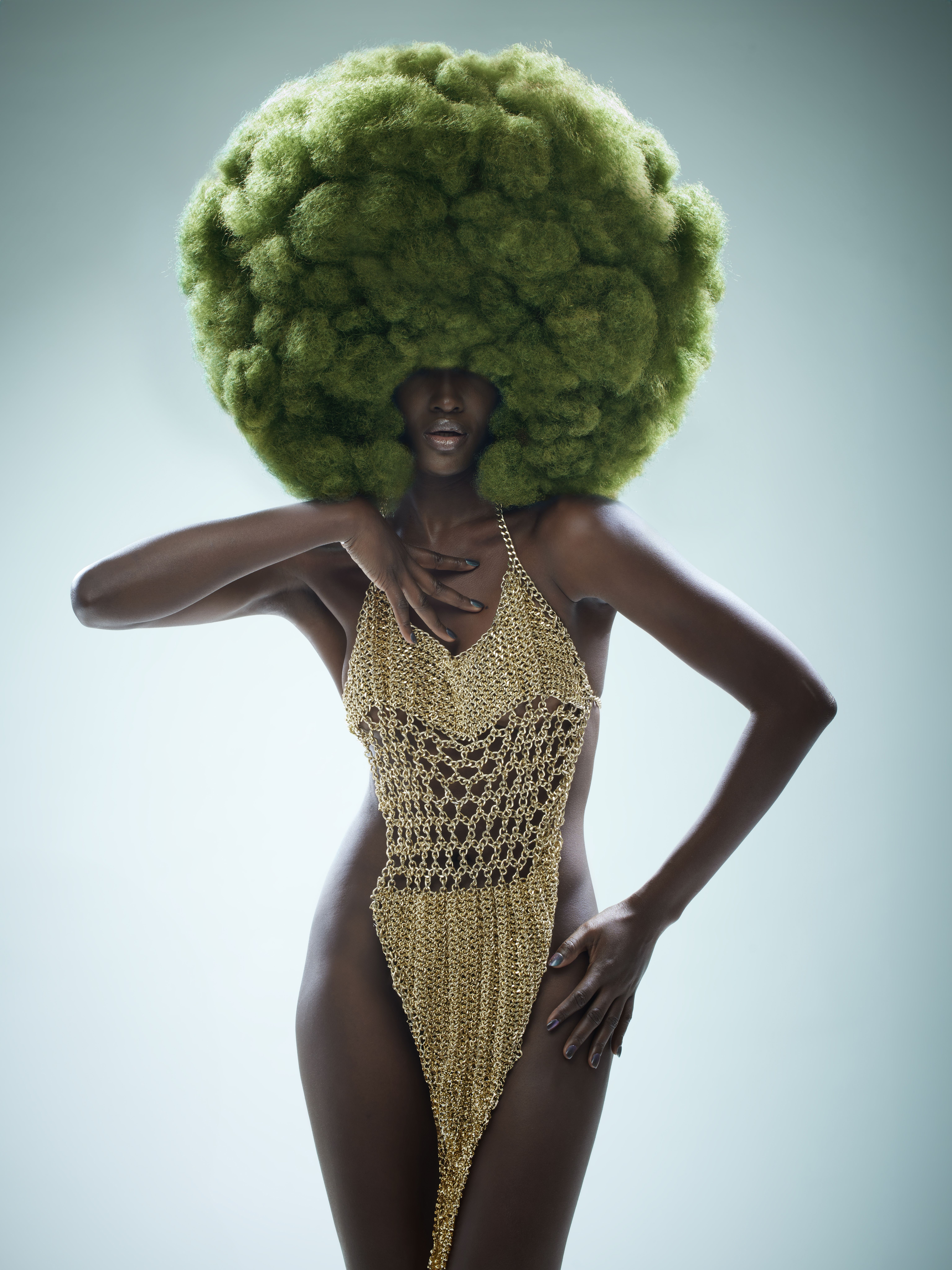 Finalist image