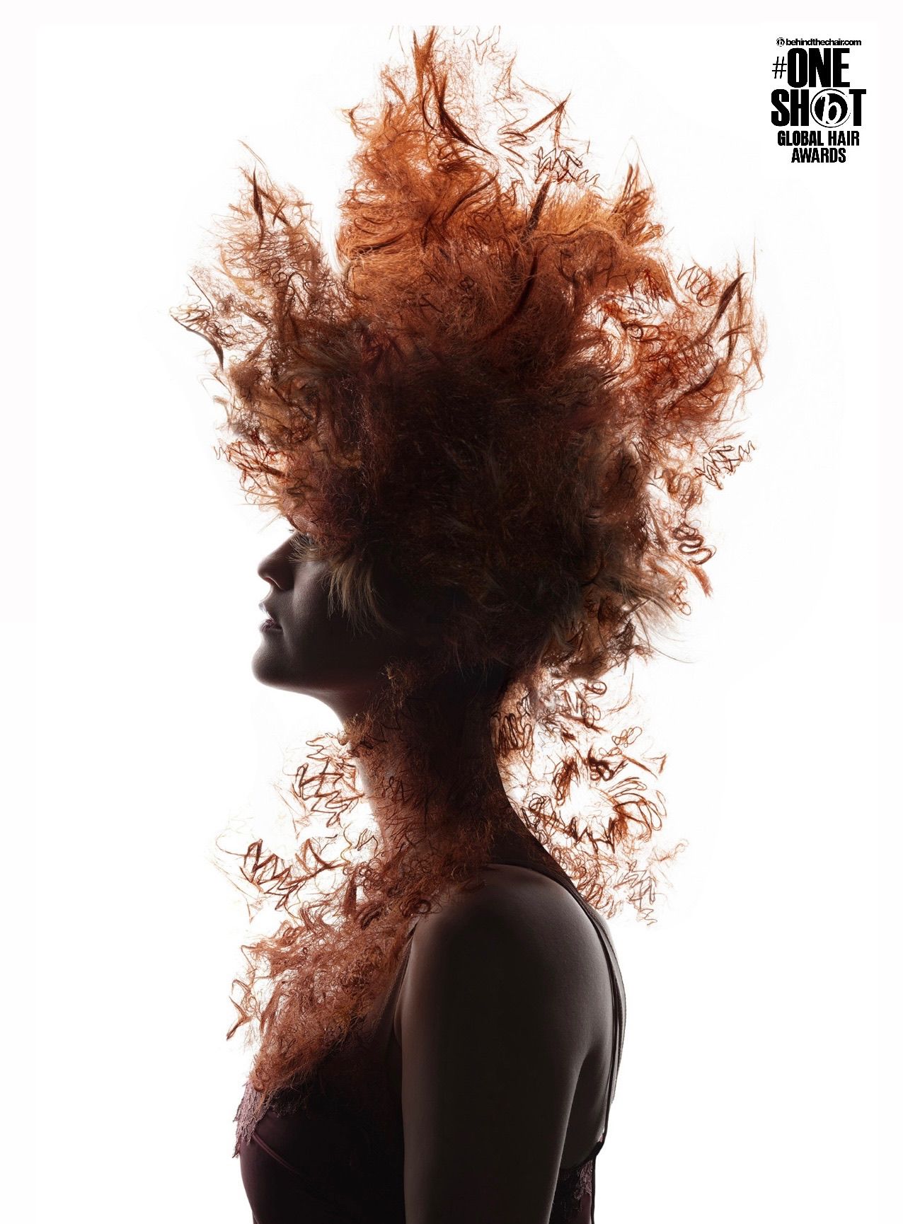 Finalist image